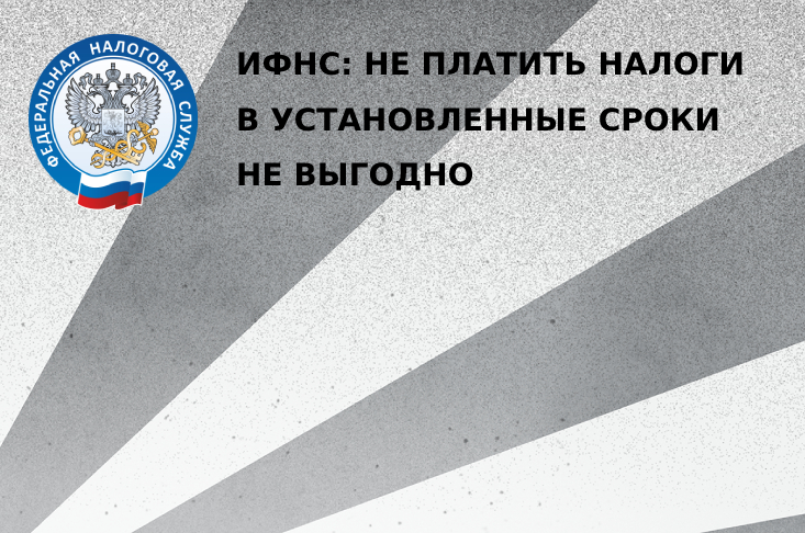 ИФНС: Не платить налоги в установленные сроки не выгодно